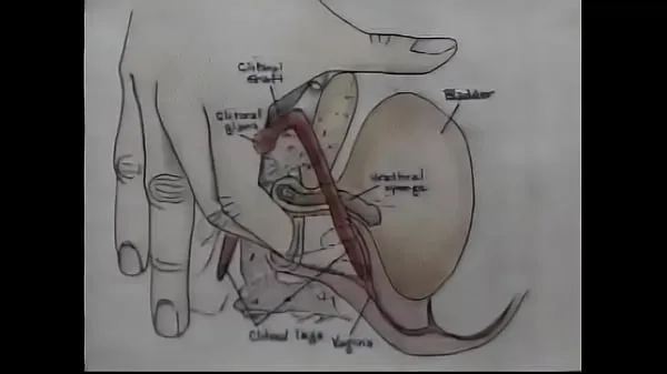 Grandes Video de entrenamiento de orgasmos de educación sexualvídeos cálidos