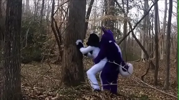 Μεγάλα Fursuit Couple Mating in Woods ζεστά βίντεο