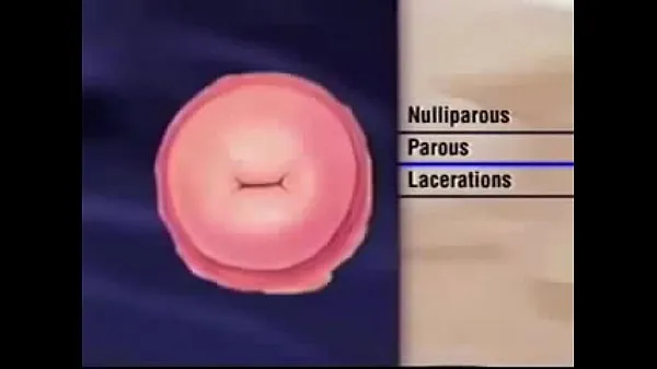 Big Female Vagina And Anus Check warm Videos