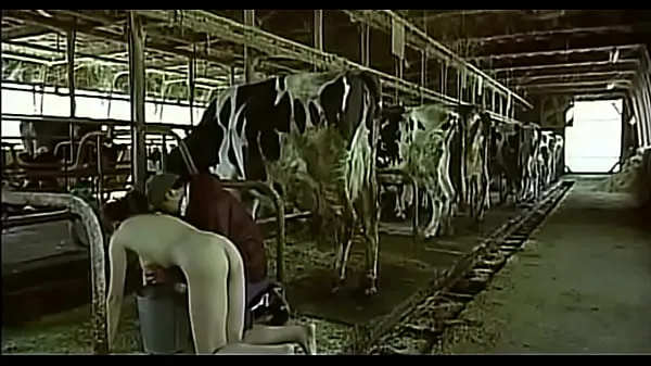 Grosses Femme asiatique être une vache le traitait comme un homme seins vidéos chaleureuses